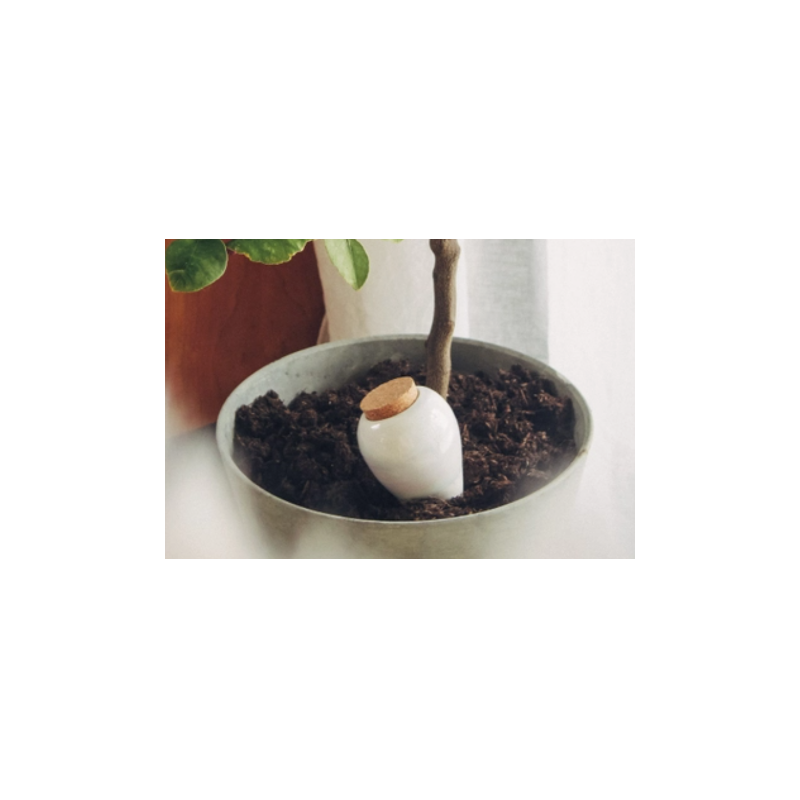 Olla Pépin cône d'arrosage en terre cuite émaillée - Violet Lilas – Maison  Fertile